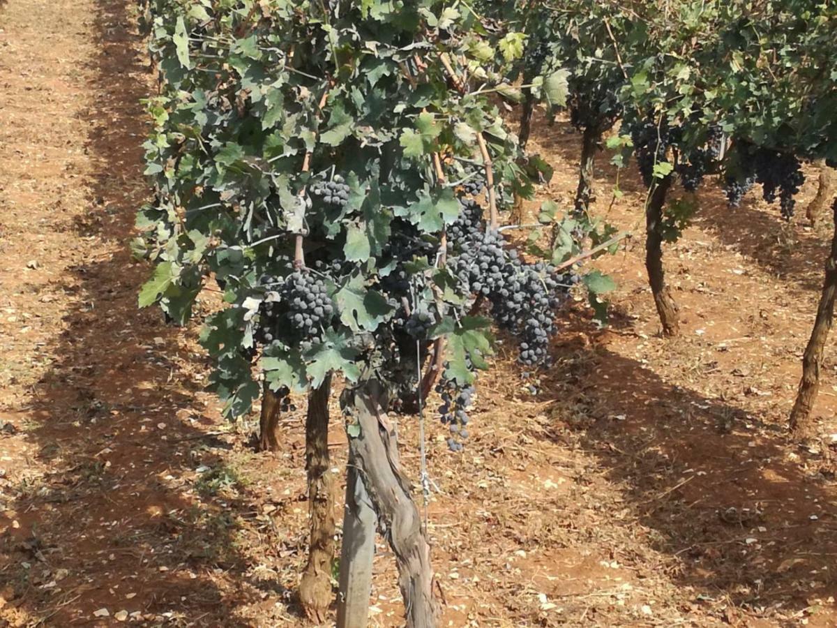 Agriturismo Grotta Di Figazzano Cisternino Dış mekan fotoğraf