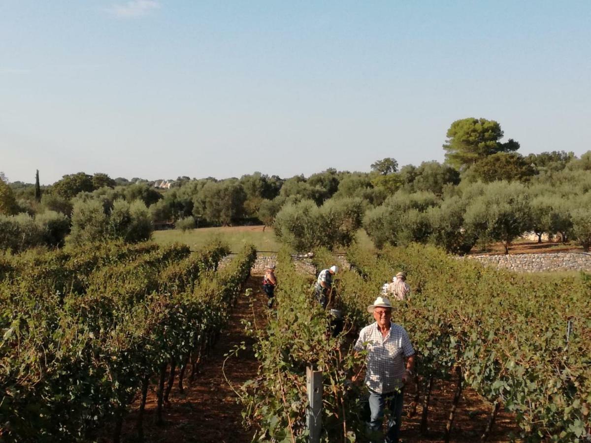 Agriturismo Grotta Di Figazzano Cisternino Dış mekan fotoğraf
